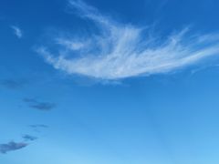 -野狸岛