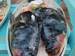 -喜欢吃鱼(非遗博览园总店)