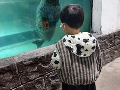 -嘉兴海底世界