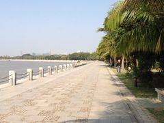 -福田红树林生态公园