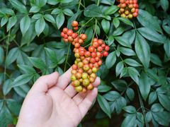 -渭河城市绿地运动公园