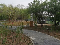 -回龙观体育文化公园