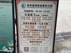-西双版纳原始森林公园