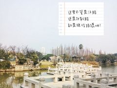 -江心屿景区