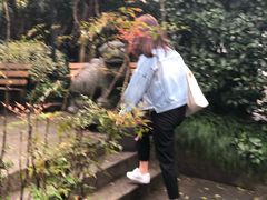 -旅马餐厅(茅家埠店)