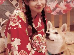 -柴迷FANS CLUB·柴犬狗咖·猫咖