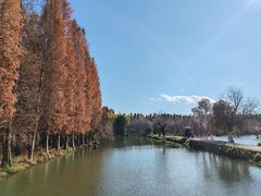 -捞渔河湿地公园
