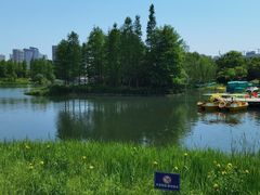-尚贤河湿地