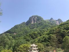 -青峰峡国家森林公园