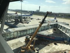 -全日本空输株式会社(上海办事处)