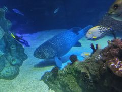 -沈阳海洋探索中心