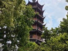 -红梅公园
