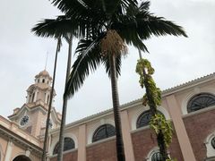 -香港港岛英迪格酒店