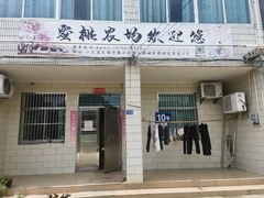 -老袁家蜜桃农场·阳山水蜜桃