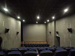 放映厅-纵横国际影城杜比全景声巨幕(天安云谷店)