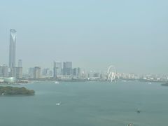 -洄归山也·高空C位湖景下午茶(东方之门店)