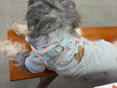 -堂瓦里·33年传统赣菜(第一街区店)