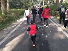 -东湖磨山景区