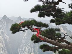 -华山风景名胜区