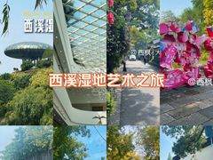 -中国湿地博物馆