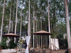 -桉树林A coffee 森林餐厅(三圣乡店)