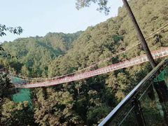 -九龙江国家森林公园