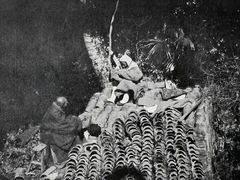 -普陀山慧济禅寺