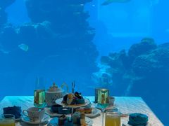 -涛·海底餐厅·美人鱼·自助餐·海底隧道(三亚海棠湾洲际度假酒店)