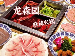 -龙森园火锅(琴台路店)