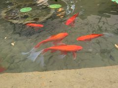 -新竹里馆·花园餐厅(兴苑路店)