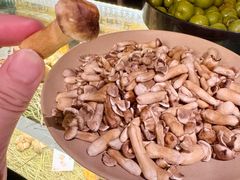 -滇野云南野生菌餐厅(陕西南路店)