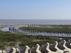 -南汇嘴观海公园