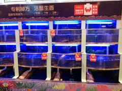 -七欣天(浦东羽山乐坊店)