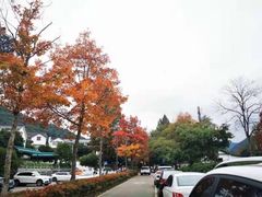 -随意茶庄·地道杭帮农家菜(梅家坞店)