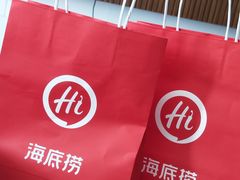 -海底捞火锅(奥体南路店)