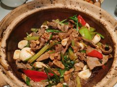 -煲煲好(朝阳门店)