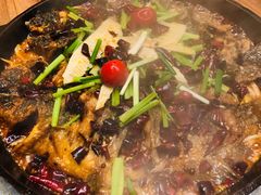 -老板恋上鱼(印象城店)