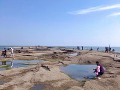 -前王院•巧克力海鲜市集餐厅(万平口店)