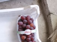 -马陆小张葡萄园农家乐