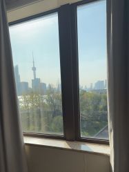-上海首尔丽格医疗美容医院