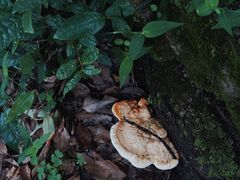 -上坦村