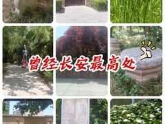 -木塔寺遗址生态公园