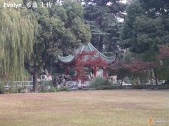 花园&nbsp;1-申粤轩酒楼·三十年粤菜经典(丁香花园店)