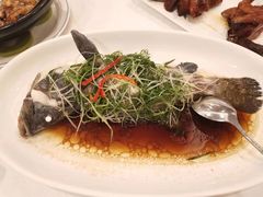 -金鮀岛潮州酒家