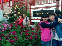 android_upload_pic-神州牡丹园