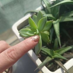 -AKIRA 安久日式美甲美睫