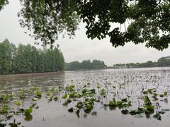 -东湖听涛景区