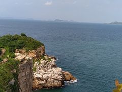 -杨梅坑