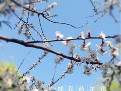 -紫竹院公园冰场