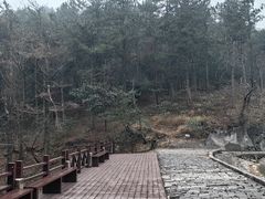 -四明山国家森林公园